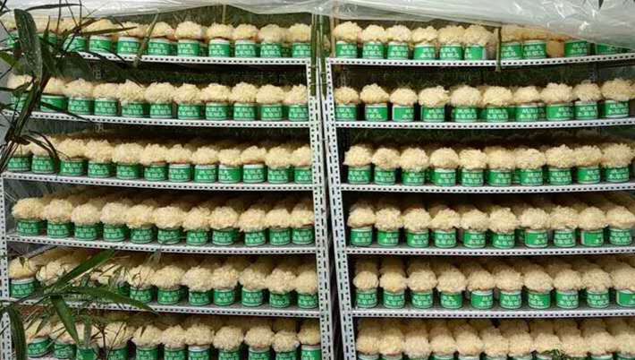 微信图片_20181219154907