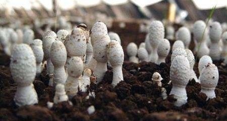 u=3198902103,645249887&fm=173&s=0C304A95C97331880A058823030070C1&w=450&h=240&img