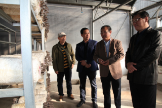 南宁：邕宁区新江镇扶贫车间ManBetX体育基地正式投产 ()