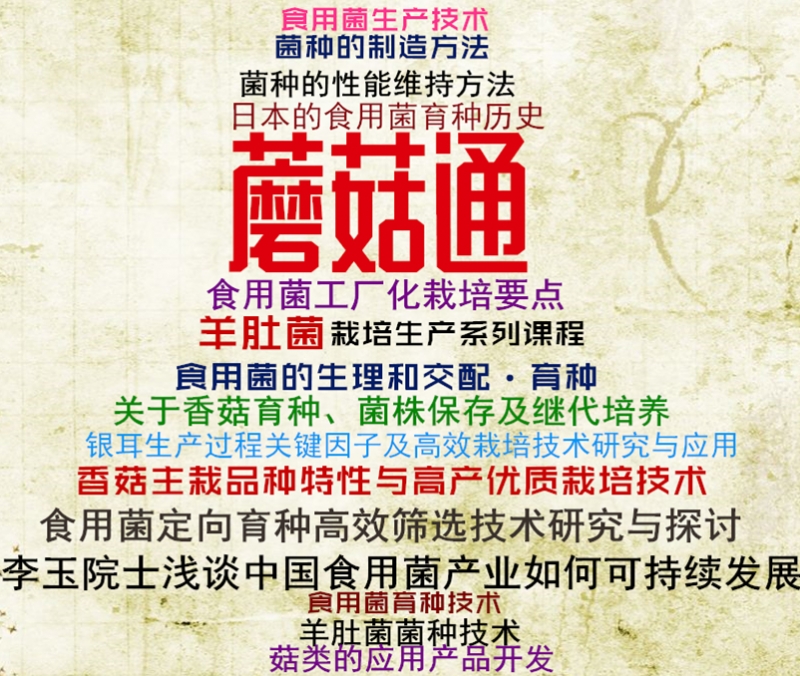 timg (2)_副本_副本