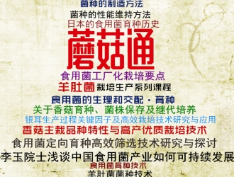 优质ManBetX体育课程上架蘑菇通  ManBetX体育栽培要点受青睐 ()