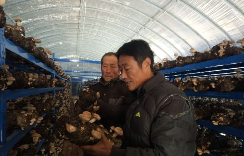 TIM截图20181227084652