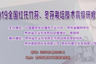 “2019全国红托竹荪、冬荪Manbetx体育手机版推荐A9版本高级研修班” 通知 ()