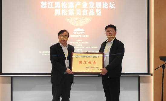 TIM截图20190102095755