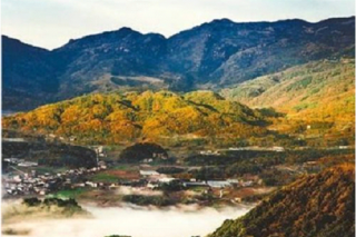 秦巴山、吕梁山主要经济作物提质增效技术集成研究与示范”项目获批　ManBetX体育成重要抓手 ()