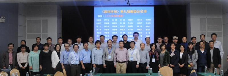 %E7%BC%96%E5%A7%94%E5%90%88%E5%BD%B1