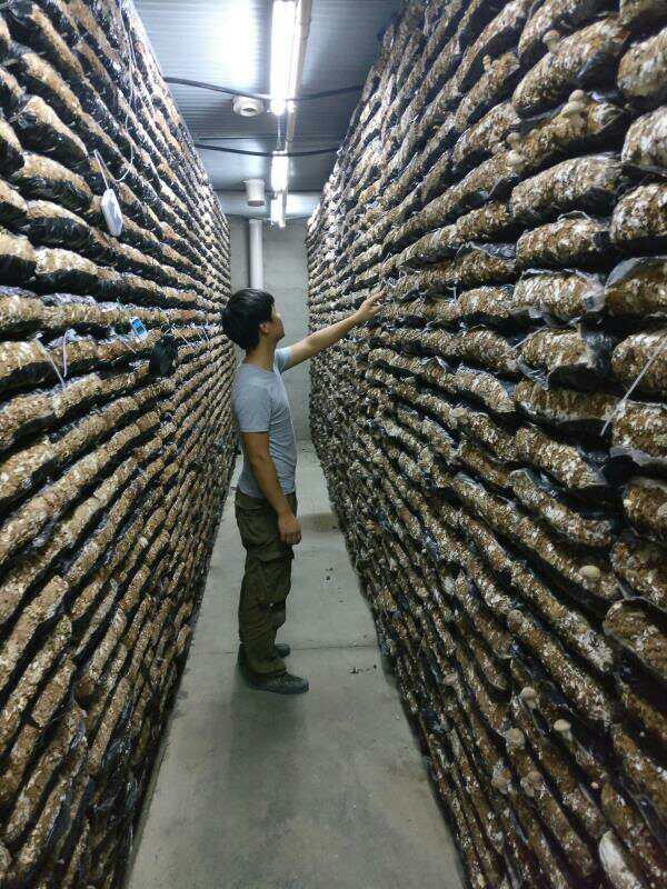 1546035485149_5c26a11d159bb82a0fca726b