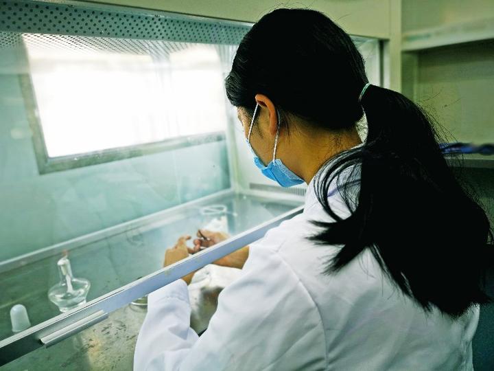 1546035485221_5c26a11d159bb82a0fca726c