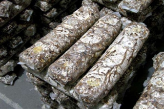 西峡县推广香菇工厂化制棒 ()