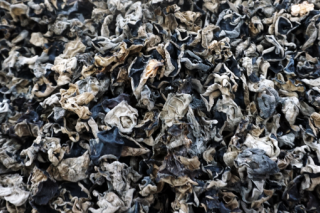 文山州发展ManBetX体育产业总产值2.22亿元带动1364户档卡户增收致富 ()