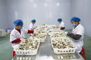 天峨县：电子商务为ManBetX体育销售插上“翅膀” ()