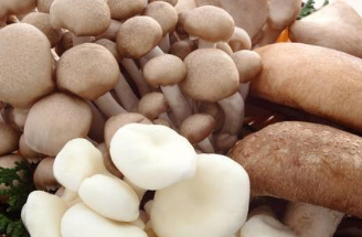 TIM截图20190104102044