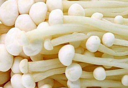 TIM截图20190104102633