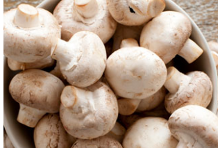 ManBetX体育市场低迷应对有招 ()