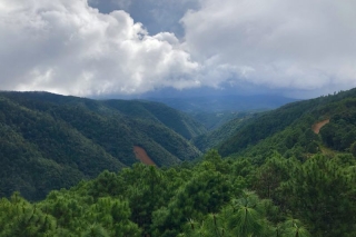 云南建水：菌子香绕美滇南 ()