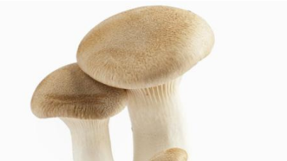 TIM截图20190108154453