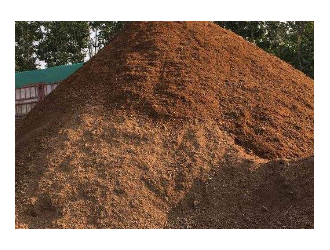 菇渣和牛粪“变废为宝”土壤“减肥增效” ()