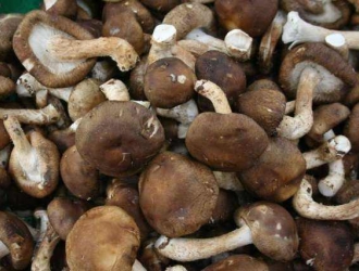 山西临县：ManBetX体育成就大产业 ()