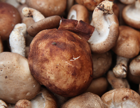 TIM截图20190109133824