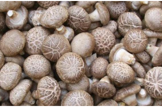 三门峡ManBetX体育产业总产值达29亿元 ()