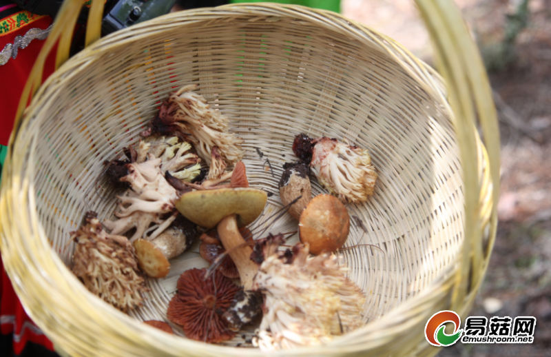 TIM截图20190111090255