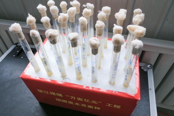 1547174340182_5c3801c4159bb82a0fcb623d