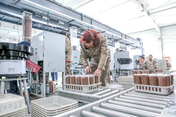 1547174340207_5c3801c4159bb82a0fcb623e