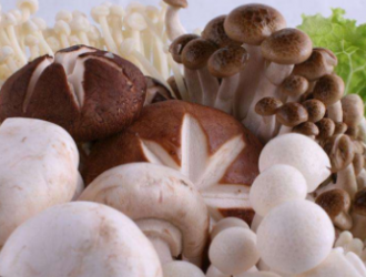 台州：身价上涨，菌菇变身“土豪菌” ()