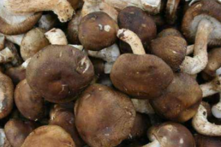 如东县：发展ManBetX体育产业助力当地群众脱贫 ()