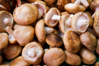 大田县：引领ManBetX体育产业健康发展 ()