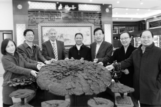 从灵芝大国到灵芝强国中国迈出了坚实的一步 ()