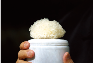 银花之人——姚淑先 ()