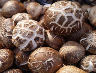 香菇产业，成为德化人民脱贫致富的“聚宝盆” ()