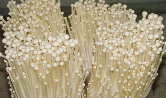 TIM截图20190117154652