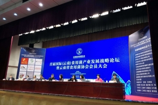 首届国际（云南）Manbetx体育手机版推荐A9版本产业发展战略论坛在云南举行  聚焦“菌业兴农” ()