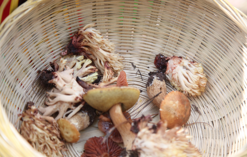 TIM截图20190118143510