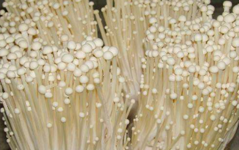 TIM截图20190118144331