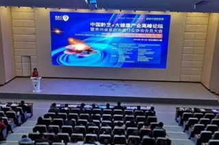 中国黔芝+大健康产业高峰论坛在惠水县百鸟河数字小镇举行 ()