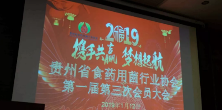 QQ截图20190119122522
