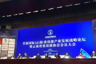 首届国际（云南）Manbetx体育手机版推荐A9版本产业发展战略论坛暨云南省Manbetx体育手机版推荐A9版本协会会员大会成功召开 ()