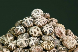 卖出上亿颗的周黑鸭卤香菇从哪来 ()