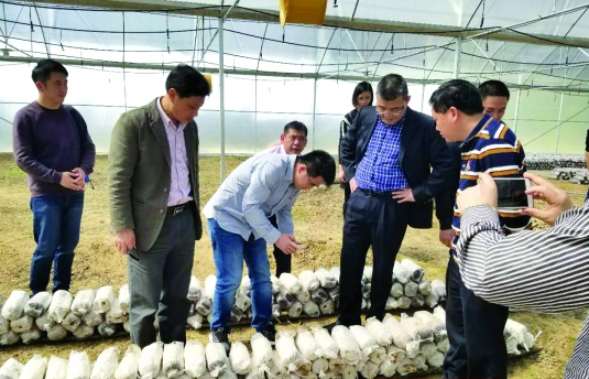 TIM截图20190123083625