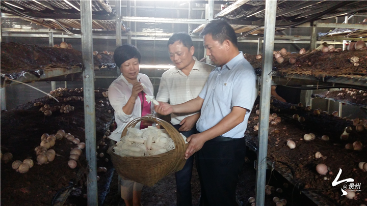 20190122123447_29504