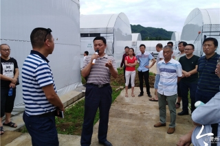 朱国胜：让科技“种子”铺就致富“路子” ()