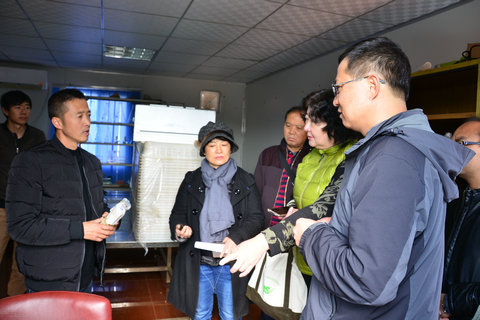 1777742_500<em></em>x500