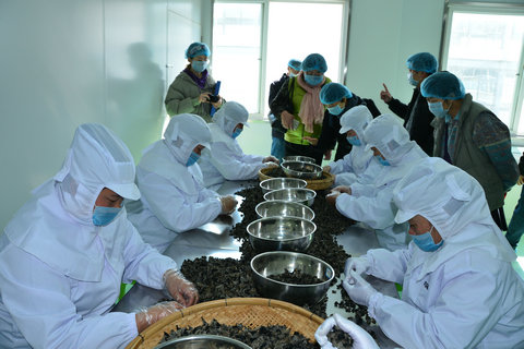 1777649_500<em></em>x500