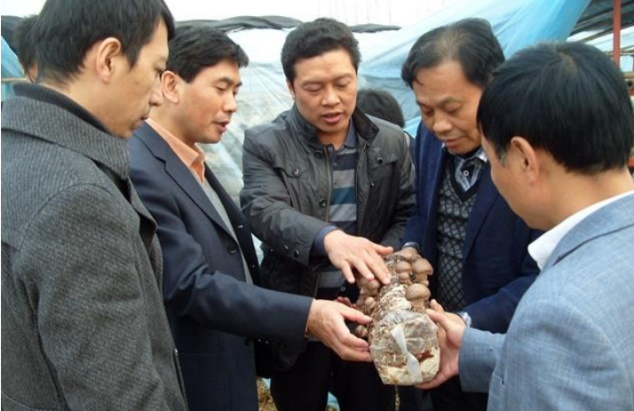 TIM截图20190125085540