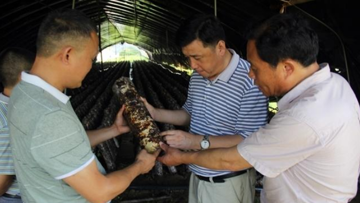 TIM截图20190125085621