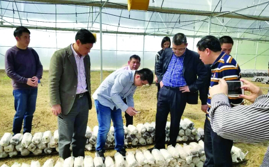 TIM截图20190126094752