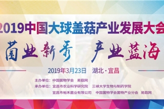 2019中国大球盖菇产业发展大会通知（第一轮） ()
